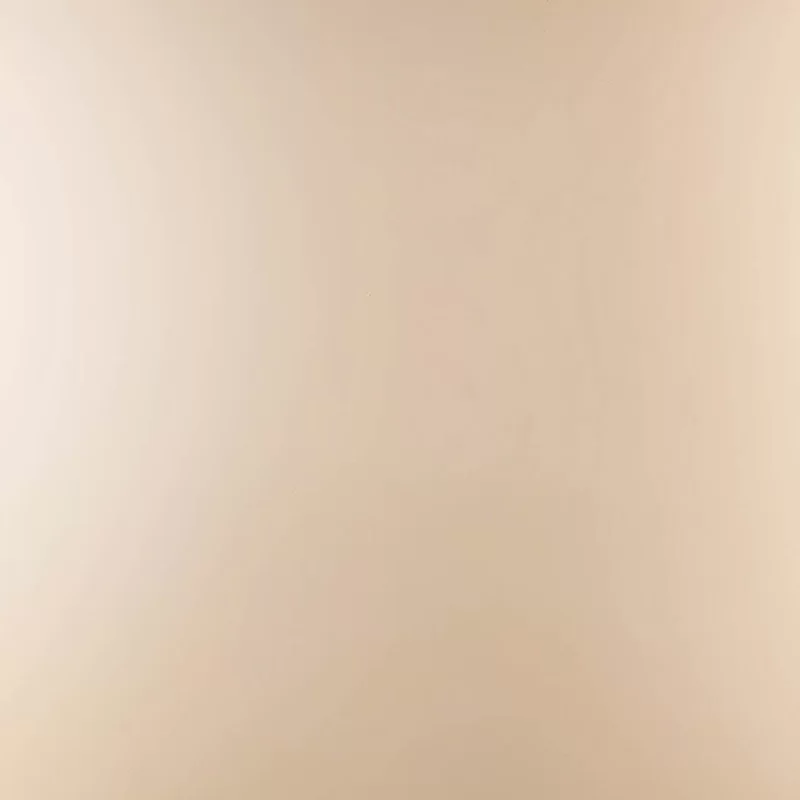 Champagne Painted Metal